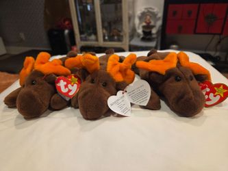 Chocolate the retired beanie babies