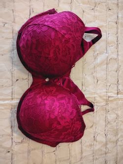 Torrid burgundy/magenta padded Lace Bra 44DDD