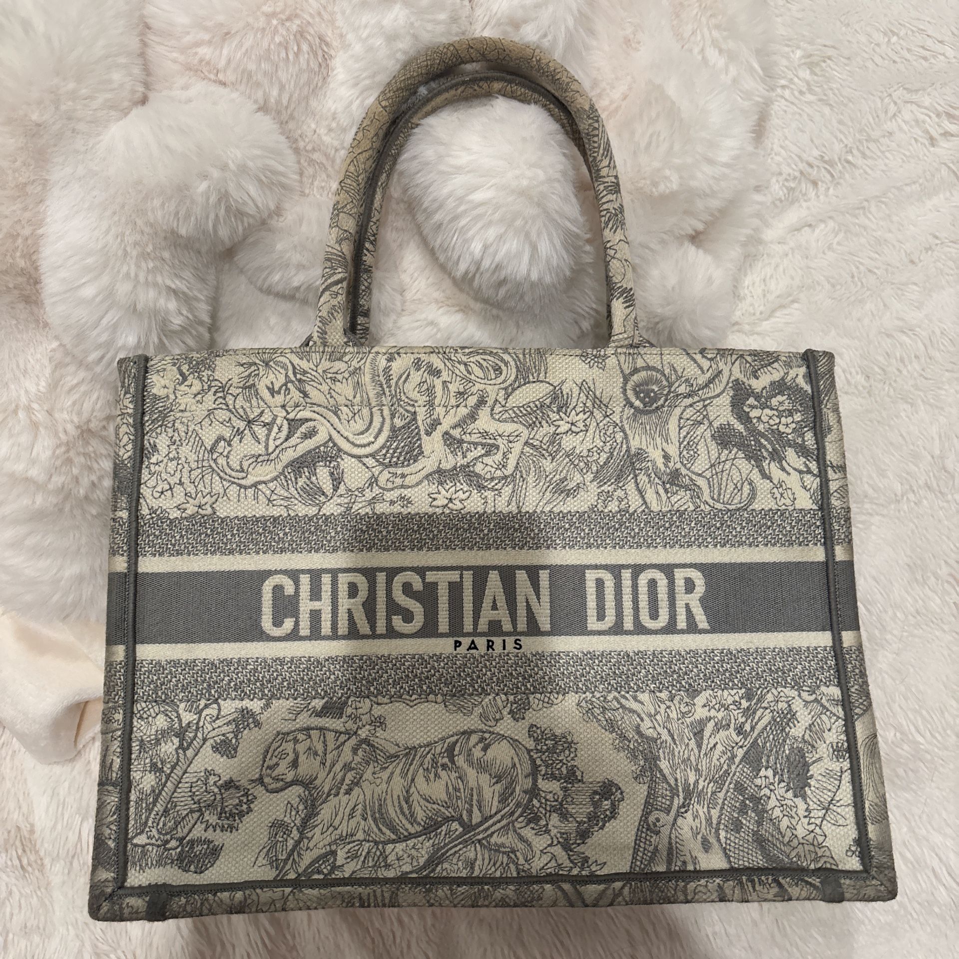 Dior Tote Bag