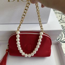 Dior Cosmetics Bag