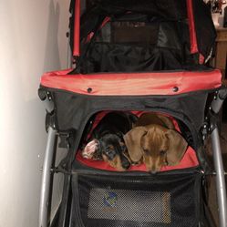 Dog Stroller