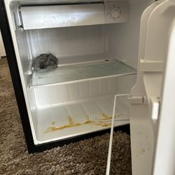 Mini Fridge 