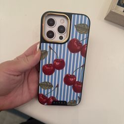 Burga Case