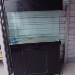 Fishtank For Sale