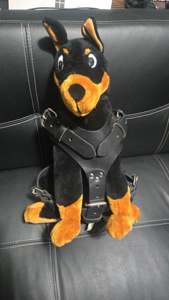 Dog Harness