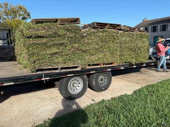 Grass sod