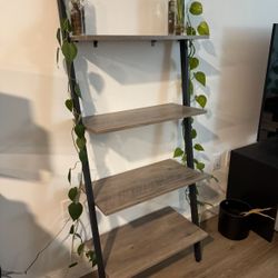 4 Tier Wall Ladder Shelf
