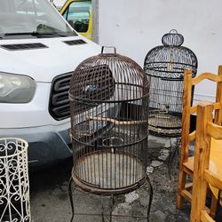 Bird Cage 