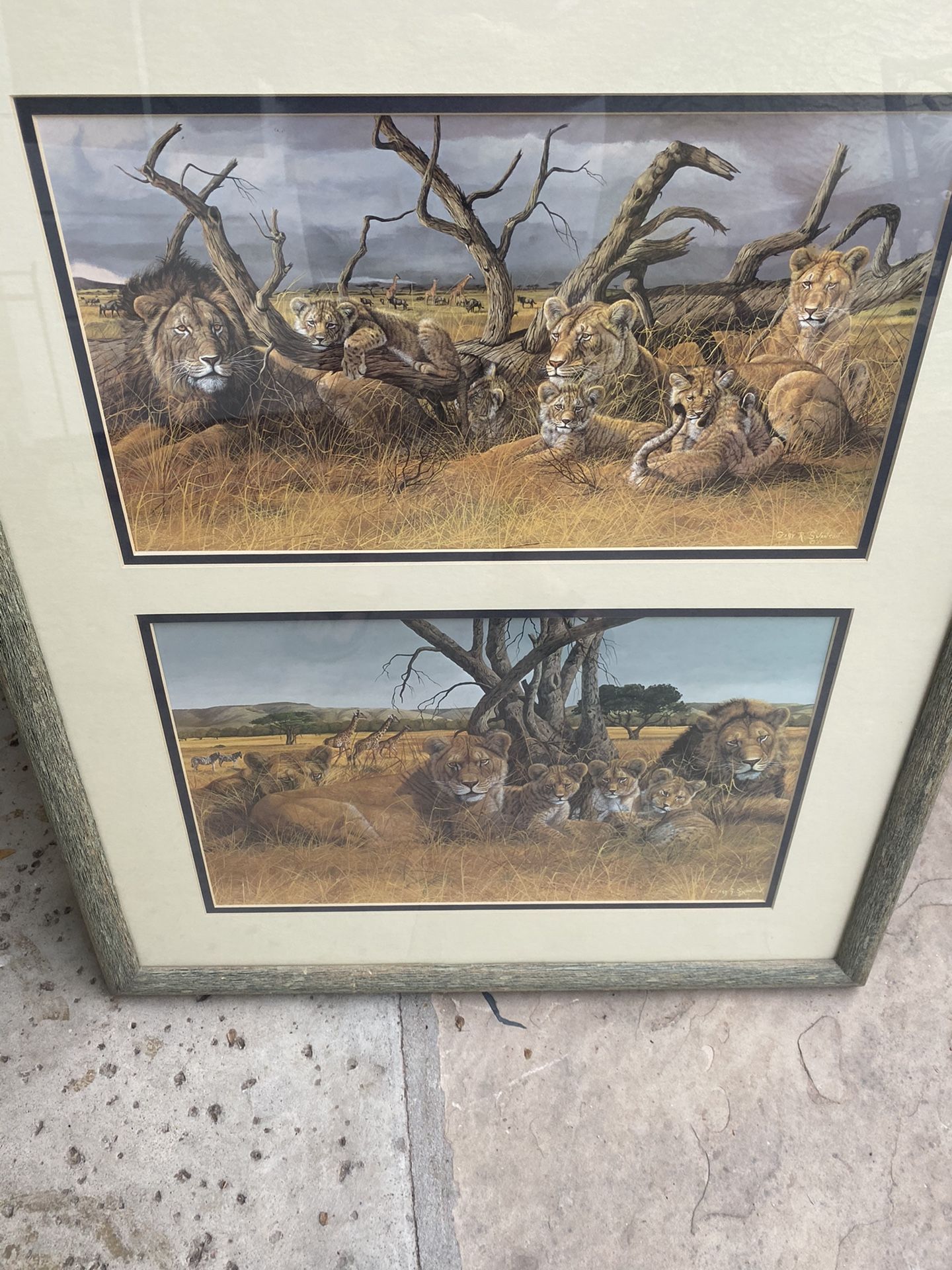 Gary Swanson framed prints