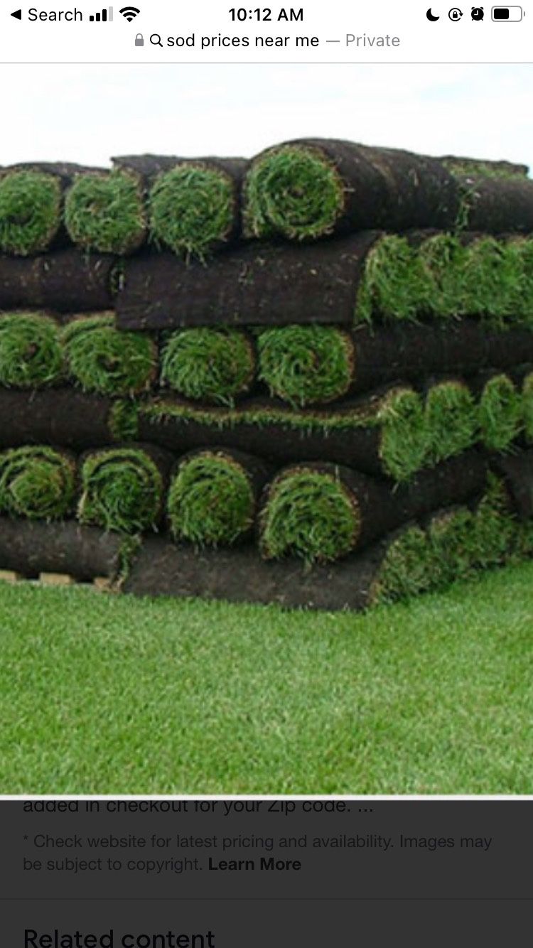 fresh sod cut