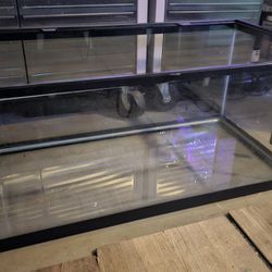 Large Tank For Fish Or Reptiles