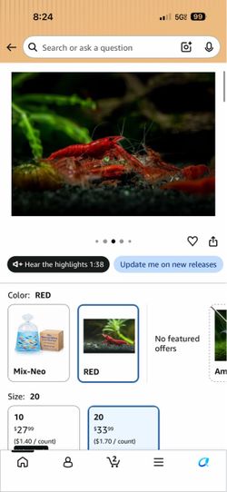 Red Cherry Shrimps Neocaridina Live Freshwater Shrimp Aquarium