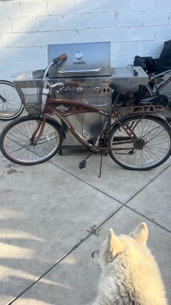 Beach cruiser 26
