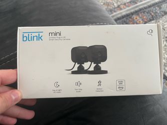 Mini blink camera