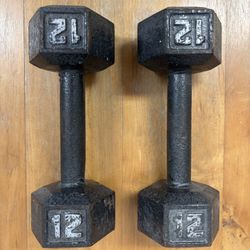 Classic 12lbs Dumbbells Weights