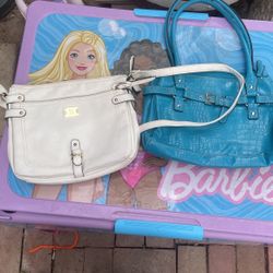 2 Purses