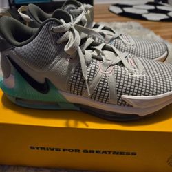 Nike LeBron Witness 7 Low Flat Pewter Mint