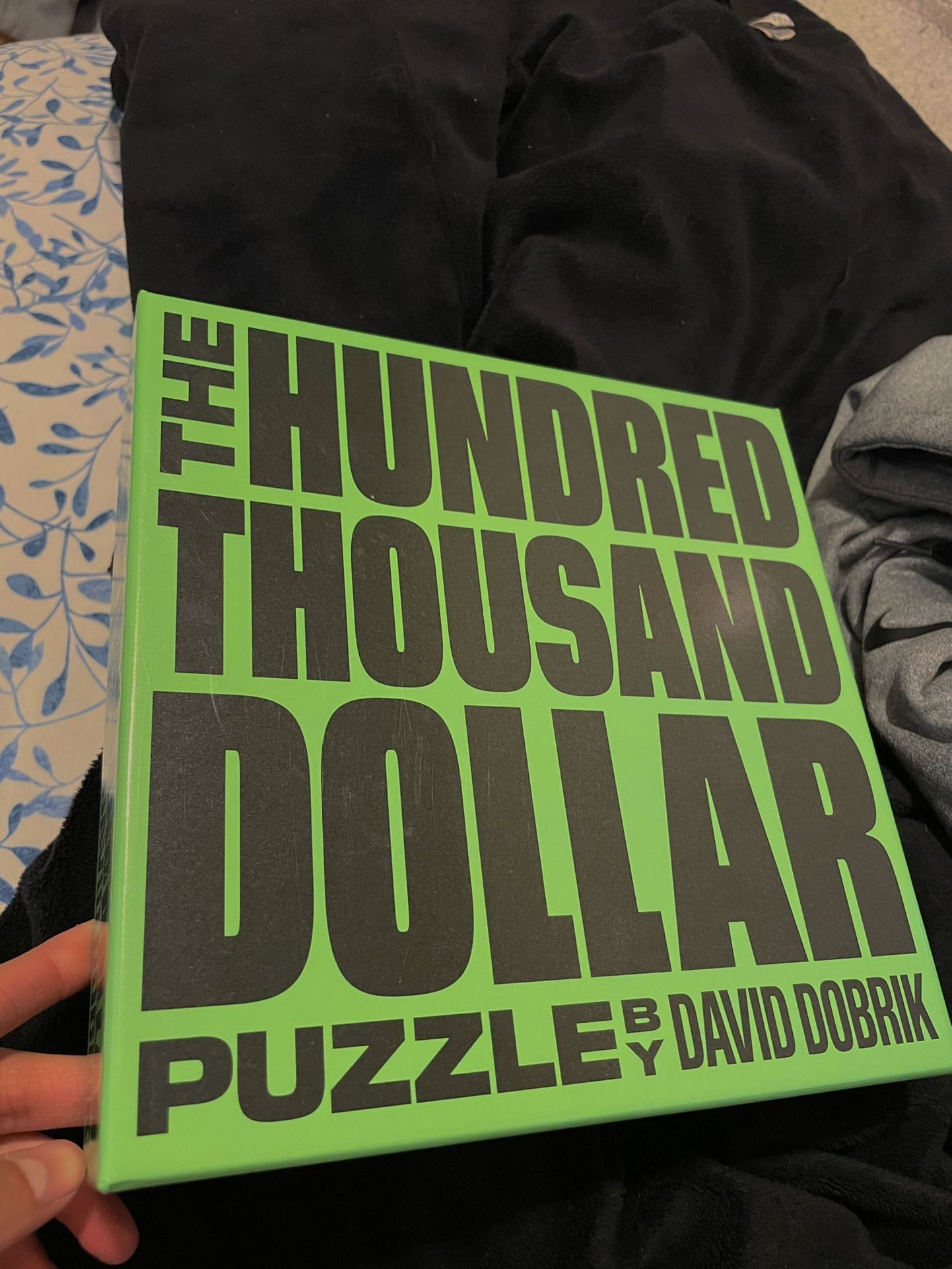 David Dobrik Million Dollar Puzzle 