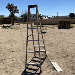 Husky Step Ladder