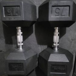 75lbs Dumbells Weights 