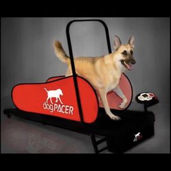 Dog Treadmill