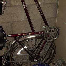 Schwinn  world sport