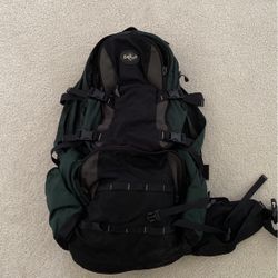 Eagle Creek Backpacking Pack