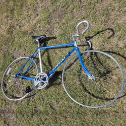 1980s Nishiki Bicycle