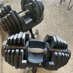 Bowflex 1090 With Stand 