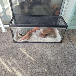 Reptile Aquarium 