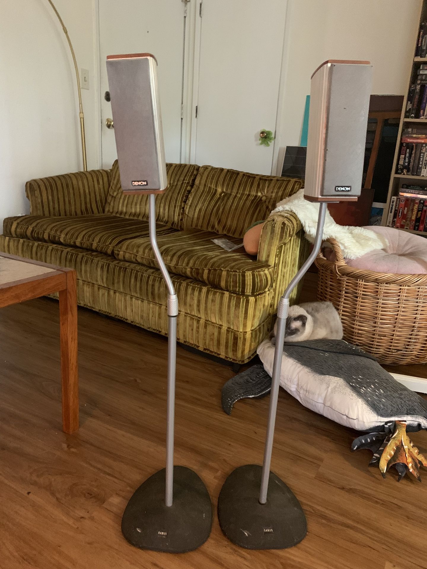 Denon Stand-Up Speakers 