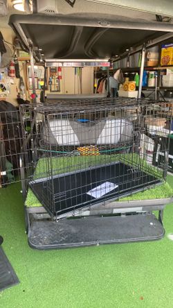 kennel