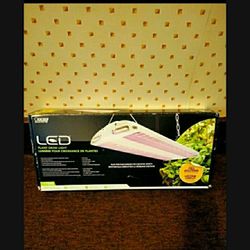 LED Plant grow light 🕯️ must pickup 