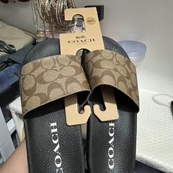 Coach Sandals 