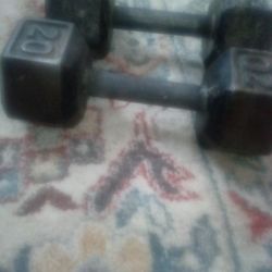 20 Lbs Dumbbell Pair