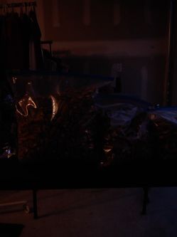 Pecans,
