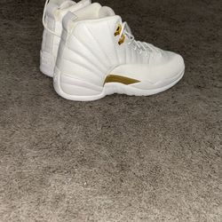 Jordan OVO 12s   