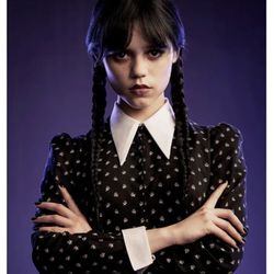 Halloween Wednesday Addams Costume Dress