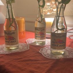 Variegated Pothos Cutting 🌱