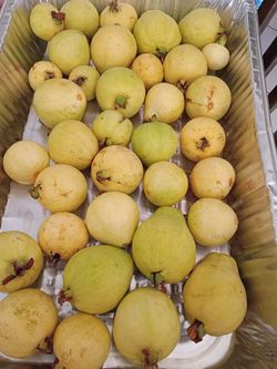 Guayavas