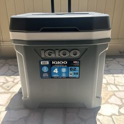 Igloo Cooler