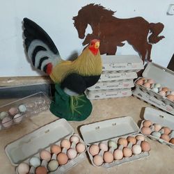 Huevos Frescos / Fresh Eggs