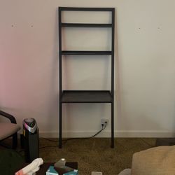 Ladder Bookcase / Shelf