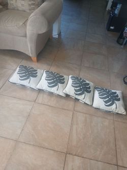 Throw Pillows 4 for $7