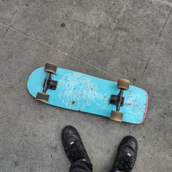 LANDYACHTZ Cruiser Skateboard 