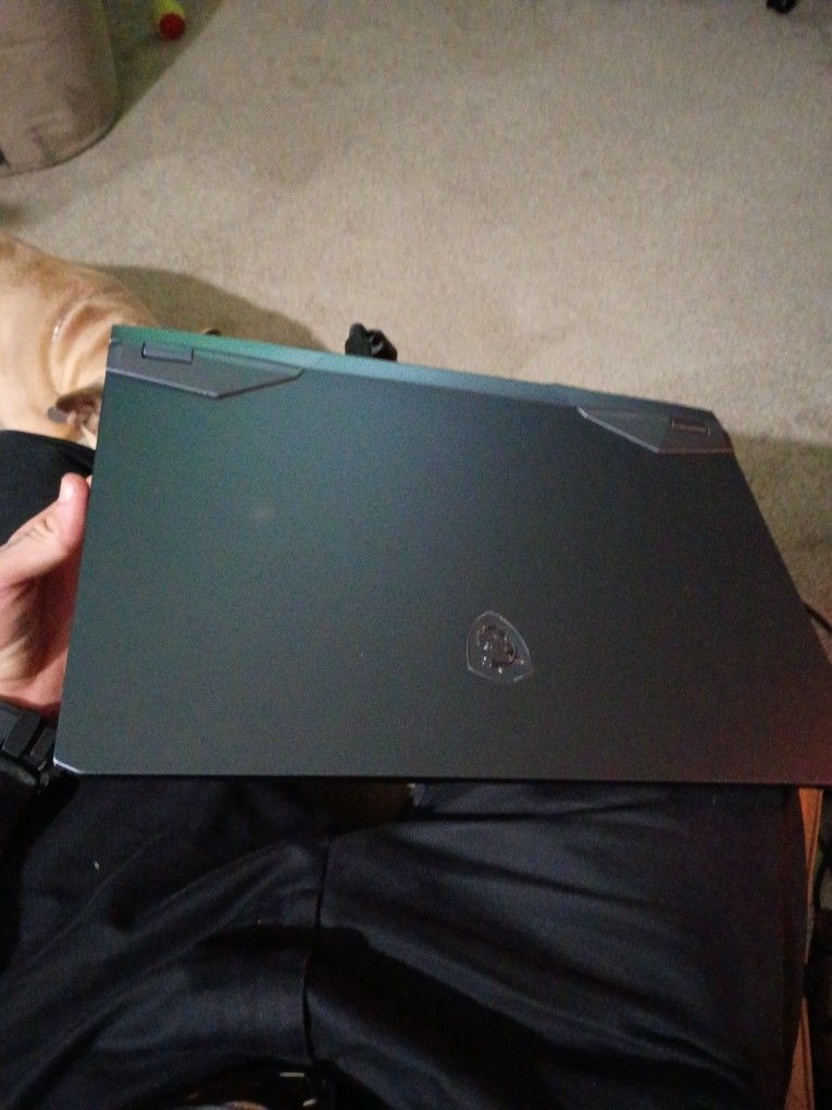 MSI GE76 Raider 