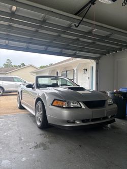 2000 Ford Mustang