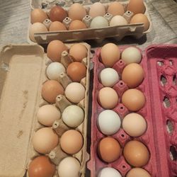 Fresh Eggs From Wisconsin