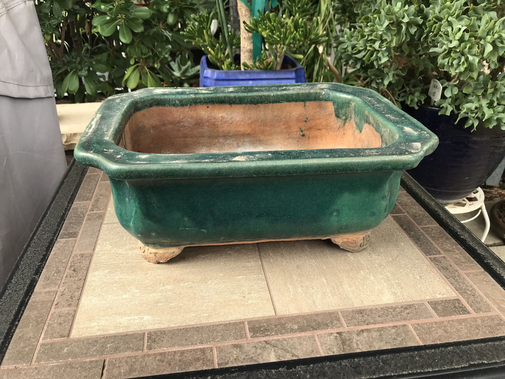 An old bonsai pot