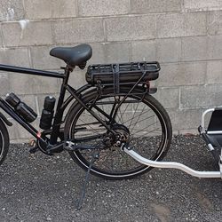 Fuji E Bike Model E-Crosstown